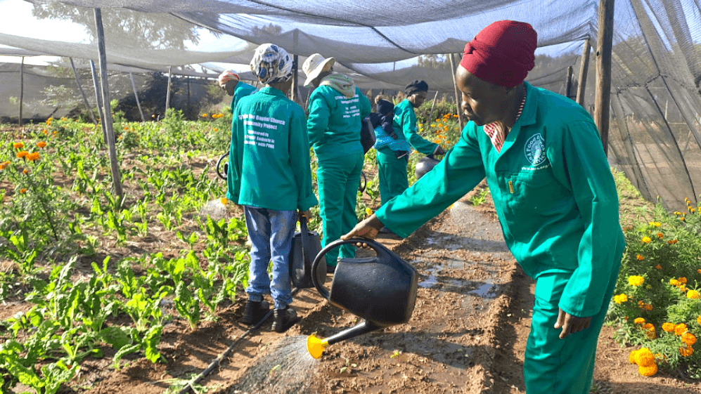 Community Empowerment